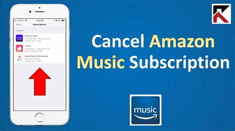 How to Cancel Amazon Music Unlimited: A Symphony of Choices